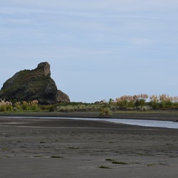 2017-03 New Zealand/Auckland Centenial Park/DSC_0092.JPG